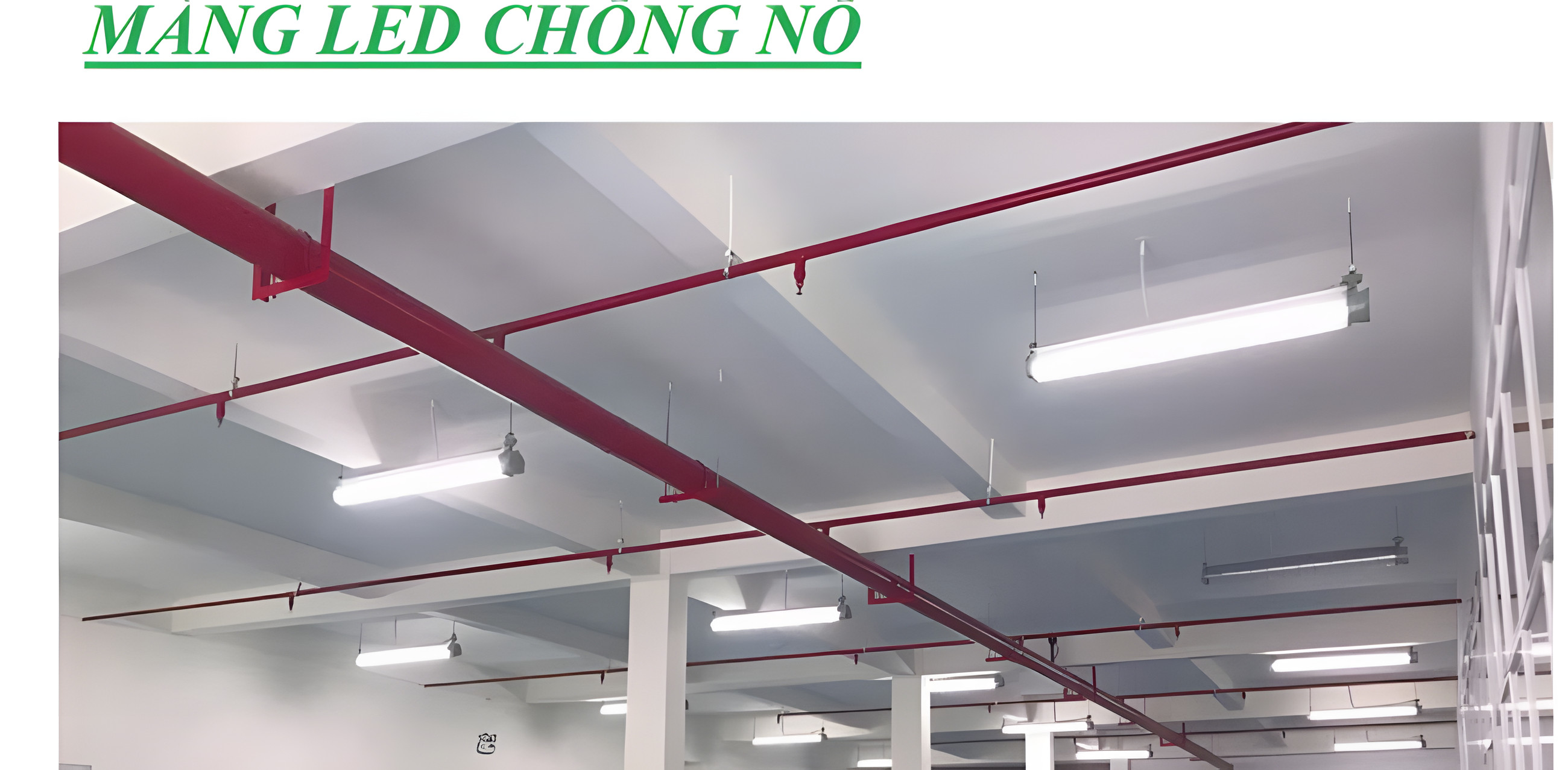 Máng LED Vietlux lắp trên trần khu vực kỹ thuật
